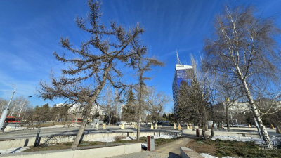 Начало апреля в Татарстане окажется на шесть градусов теплее нормы