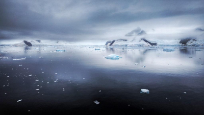 Находка на Аляске шокировала ученых: Тайну разгадали спустя три года