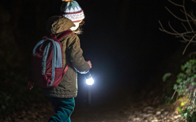 Фонари поставили, но они не горят