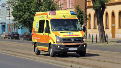 В ЮАР владелец сафари-парка погиб после нападения слона во время экскурсии